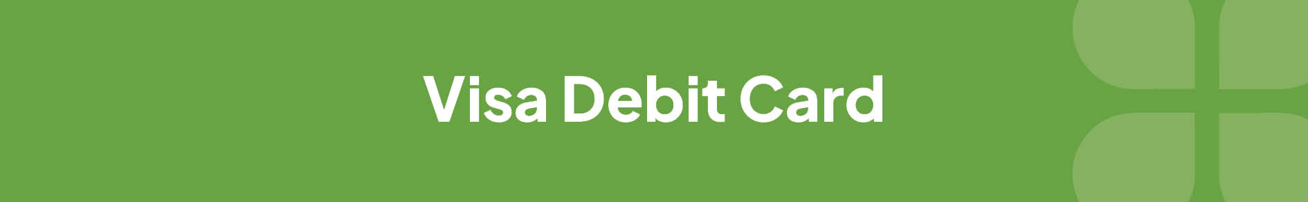Visa Debit-Banner